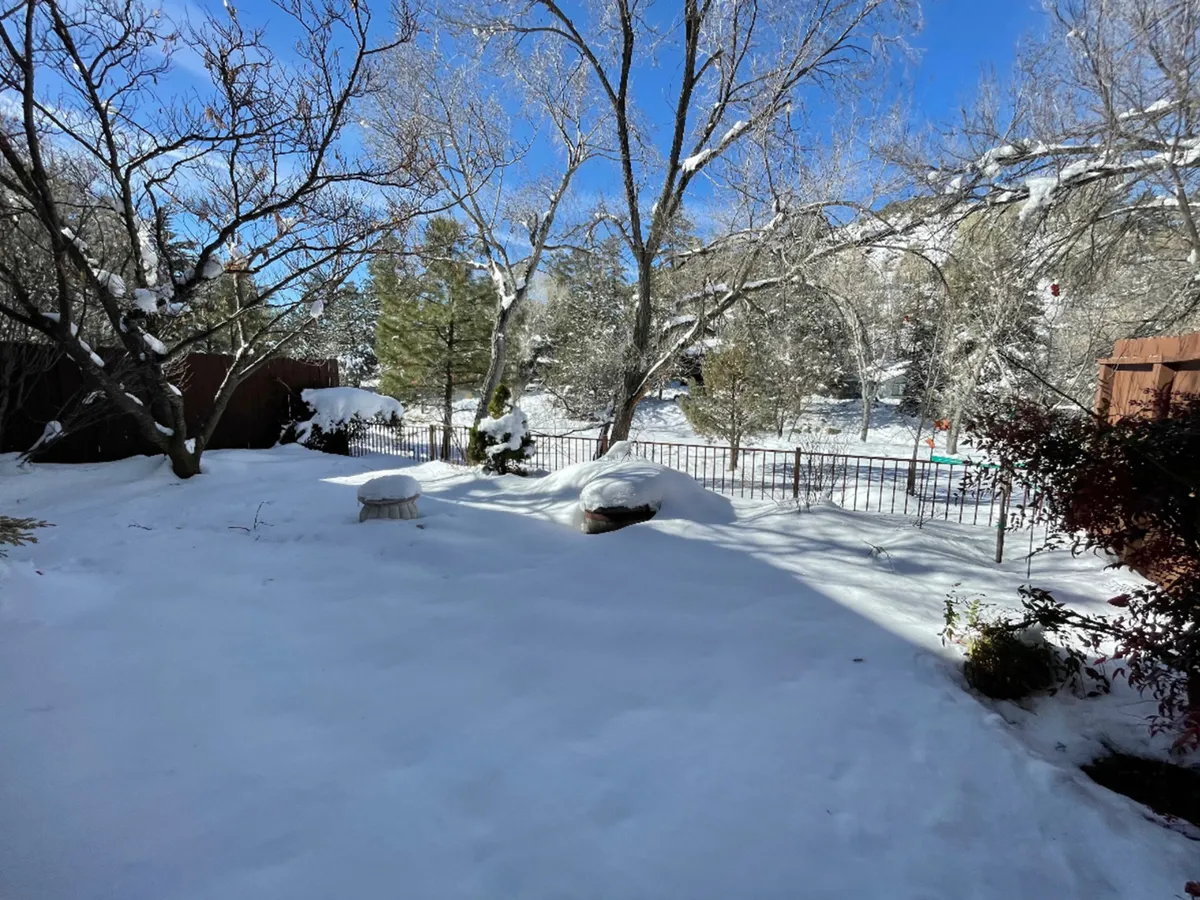 A serene outdoor winter scene featuring snow-covered ground, bare trees, a fenced area, and greenery in the distance. The mood suggests peaceful nature walks and seasonal fun right outside the home.